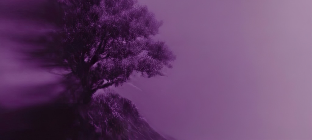 Catalyze Your Growth